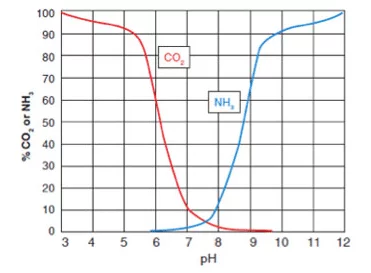 CO 2和pH相關(guān)，影響NH 3的毒性